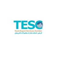 Tech Export Services Corridor (TESC) logo - Similar company to Export Weekend