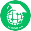 NLPI Academy logo - Similar company to Nlpi Foundation