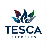 Tesca Elements logo - Similar company to Ai People