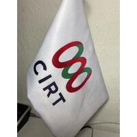 CIRT logo - Similar company to Cirt