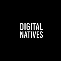DIGITAL NATIVES PORTUGAL logo - Similar company to Sagedata