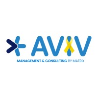AVIV Management & Consulting logo - Similar company to Lia Engineering And Survey Ltd