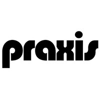 Praxis New York logo - Similar company to András Szántó, Llc