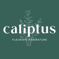 CALIPTUS logo - Similar company to Latestudio