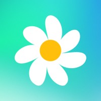 Daisy logo - Similar company to Opal, Llc.