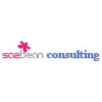Sazbean Consulting, Llc