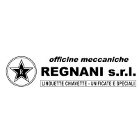 Officine Meccaniche Regnani S.R.L. logo - Similar company to Fumagalli Srl