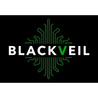 Blackveil logo - Similar company to Apps & Sides, Llc