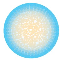 Induce XT - NMP Bone Graft logo - Similar company to Aiser