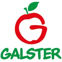 Galster logo - Similar company to Goodnode®