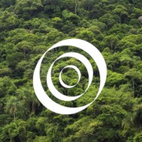 Amazon (Rainforest) Investor Coalition logo - Similar company to Voz