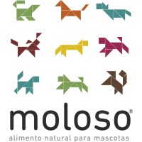 MOLOSO logo - Similar company to Realty Wizard