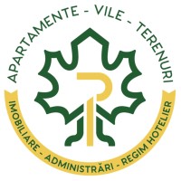Paltinul Imobiliare Srl logo - Similar company to Cybertm