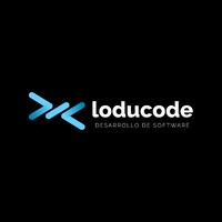 Loducode S.A.S. logo - Similar company to Steady Technologies, Inc