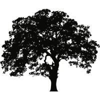 ARBO-FLORA logo - Similar company to Geosonda Belgium