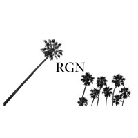 RGN Accountancy Group, Inc. logo - Similar company to Encurio