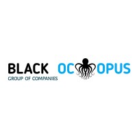BlackOctopus.io logo - Similar company to Runthrough.Media