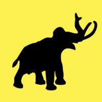 Woolly Creative logo - Similar company to Palumbo Wealth Management