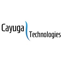 Cayuga Technologies logo - Similar company to Stg - Scien Technology Group