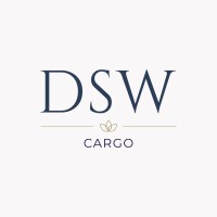 DSW Logistic logo - Similar company to Infinity Cargo Express Limited