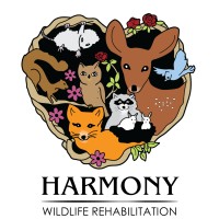 Harmony Wildlife Rehabilitation Center logo - Similar company to Audubon Acres