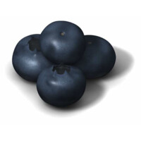 Blueberry Hill Management Consulting logo - Similar company to Blueberry.