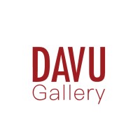 Davu Gallery logo - Similar company to It Career Park