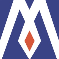MasterInt. Group logo - Similar company to Falcon-Bi