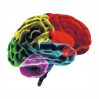 Polaris EEG & Diagnostics, LLC logo - Similar company to Brainmaster Technologies