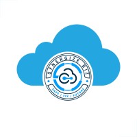 Synergize Biz LLC logo - Similar company to Zeurtek