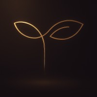 Seed and Share Social Media logo - Similar company to Realiza Network