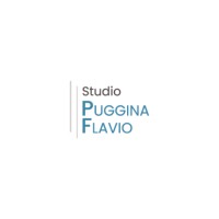 Studio Puggina Flavio logo - Similar company to Studio Sedac
