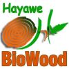 شركة حيوي لصناعة الاخشاب البلاستيكية - Biowood logo - Similar company to Biowood