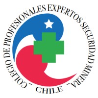 Colegio de Profesionales Expertos en Seguridad Minera de Chile A.G logo - Similar company to Colegio De Profesionales En Ciencias De La Educación