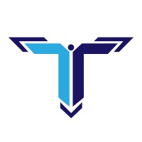 Teemer Tech Private Limited logo - Similar company to Nextgen E-Learning Hub
