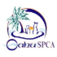 Oahu Spca