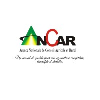 ANCAR logo - Similar company to Sodefitex