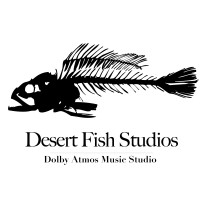 Desert Fish Studios logo - Similar company to Walk With Web
