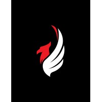 Firebird Drones logo - Similar company to Moby Robotics