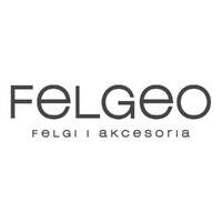 Felgeo logo - Similar company to Scc Group
