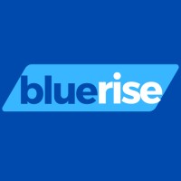 Bluerise logo - Similar company to Bluerise Techlead