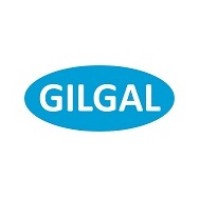 Digital Marketing Services-Gilgal Technologies logo - Similar company to Beyondweb Digital Marketing Solutions