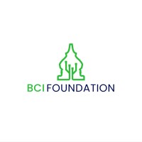 Borobudur Cipta Insani Foundation logo - Similar company to Borobudur Silver Group