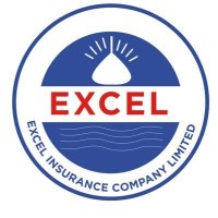 Excel Insurance Company Ltd logo - Similar company to Stat Solutions Research Network Ltd
