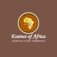 Essence of Africa logo - Similar company to Epiceats.In