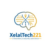 XELALTECH221 logo - Similar company to Datacraft Consulting