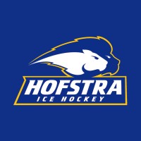 Hofstra Club Ice Hockey logo - Similar company to Afwagers