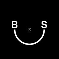 Brunswicker Studio logo - Similar company to Struckmann Studio