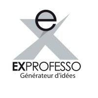 Ex Professo logo - Similar company to Invest Compugraphics