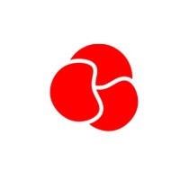 InTraDev Afrique logo - Similar company to Idl Africa Technologies Hq